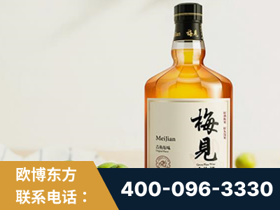 滕州-梅见青梅酒